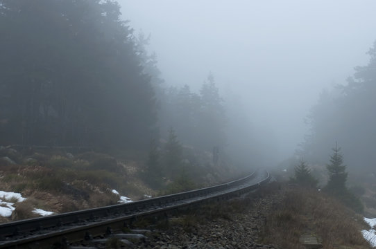 Fototapeta Old railroad with in forest on a foggy winter day in National park Harz, Germany  
