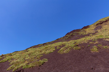 Aetna Lavafeld Pflanzen rot