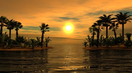 Fototapeta na wymiar Sea sunset. Palma. Islands.