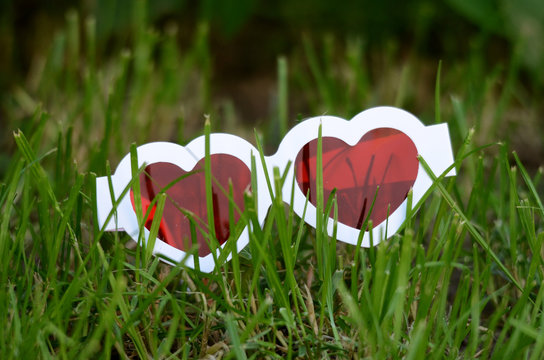 Ipp Bilder Durchsuchen 178 Archivfotos, und Videos