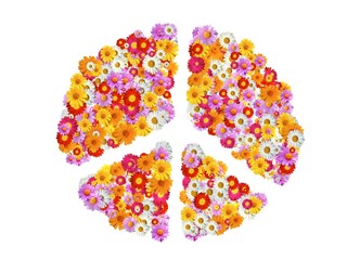Peace Icon mit Gelben, Roten und Violetten Margeriten Blumen