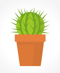 Cactus in pot vector