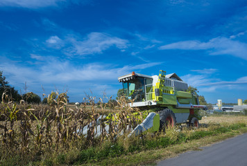 Fototapeta premium Corn harvesting machines used for harvesting_Baden Baden_Souther