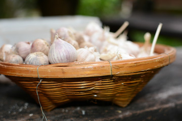 Garlic in basket.