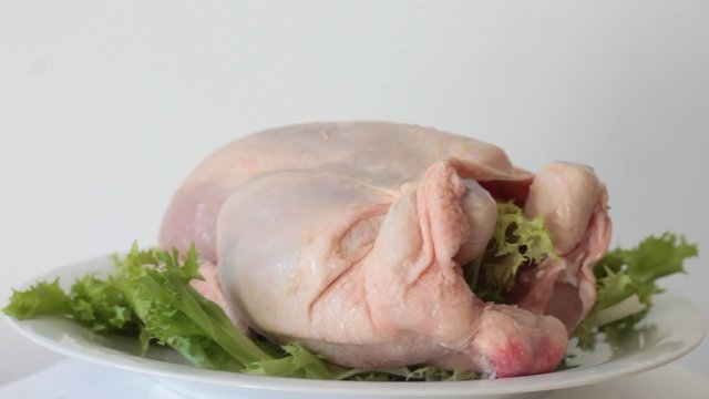chicken meat