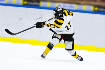 Ice hockey player - Slap shot