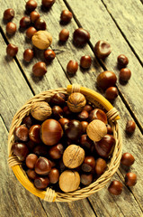 Ripe brown nuts