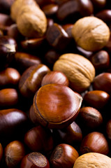 Background of various nuts