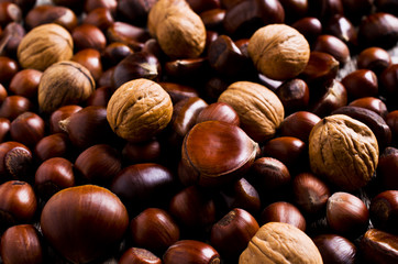 Background of various nuts