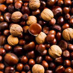 Background of various nuts