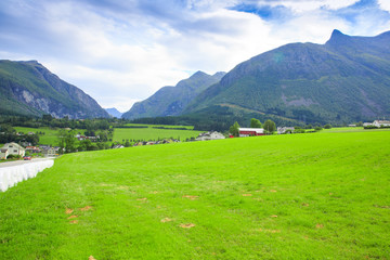 Green meadows and high mountains