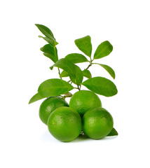 lemon with green leafs on white background