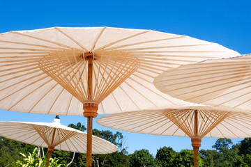 Fototapeta na wymiar Antique umbrella design from northern thailand