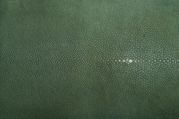 stingray leather, color for background