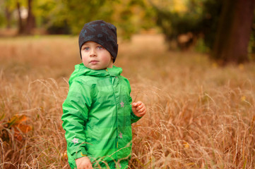 Small Boy in the Autimn Grass