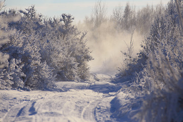 Winter Morning in Belarus.