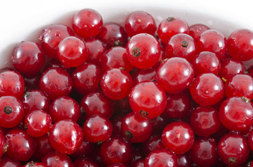 Rote Johannisbeeren