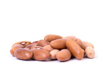 cranberry bean