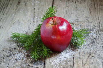 Christmas composition with red apple and spruce branches, select