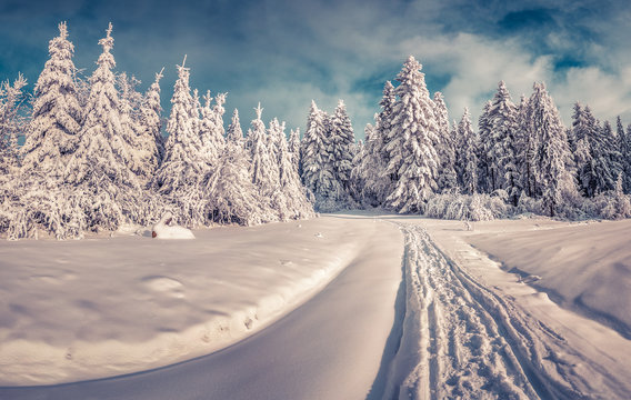 Fototapeta Snowy winter road in the mountain road.