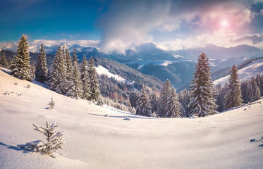 Fototapeta na wymiar Sunny winter morning in the snowy mountains.