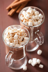 hot chocolate with mini marshmallows cinnamon winter drink