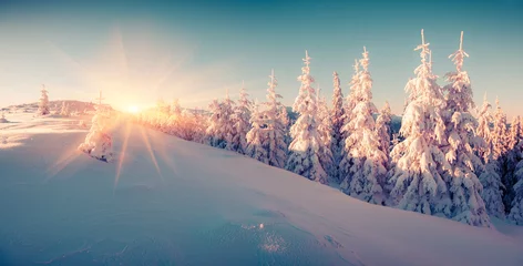 Foto op Plexiglas Colorful winter sunrise in the mountain forest. © Andrew Mayovskyy