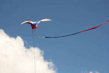 colorful kite