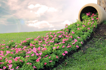 Naklejka premium pink flower petunia and large jar