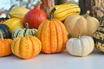 Pumpkins and squashes