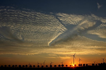 Windpark im Aufbau bei Sonnenuntergang mit Cirrocumuluswolken
