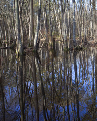 Scenic river