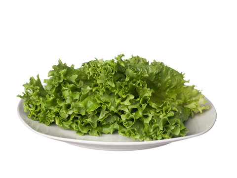 Green lettuce on white plate isolated on white