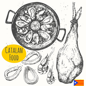 Catalonia food in the sketch style. Spanish traditional products. 