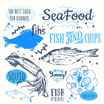 Hand-drawn sketch seafood: fish, lobster, clams, squid. 