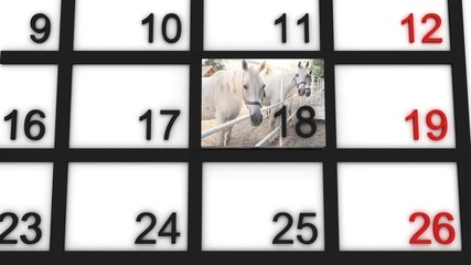 Date in calendar when it is time for horse riding