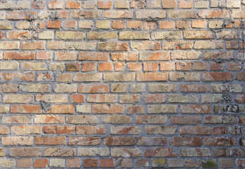 Brick Wall Background