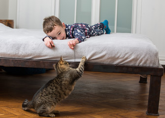 boy playing with a cat
