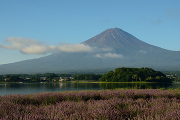 A view over Mount Fuji and lake Kawaguchiko in a summer morning, in Yamanashi prefecture, Japan