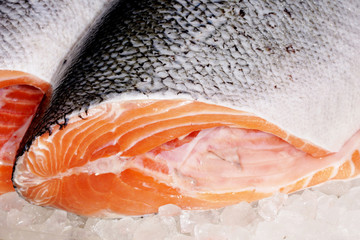 Raw Salmon, Salmon