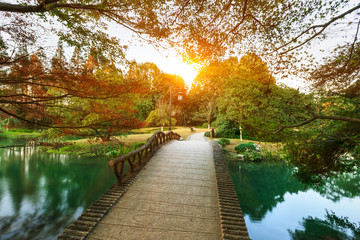 Beautiful maple leaves and Small bridge in Chinese garden during Fall season