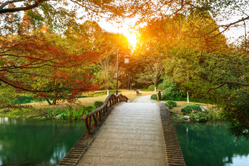 Beautiful maple leaves and Small bridge in Chinese garden during Fall season
