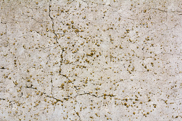 Old vintage crack wall