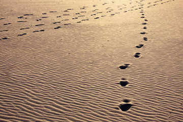Path of footprints on a golden sandy beach, going astray.