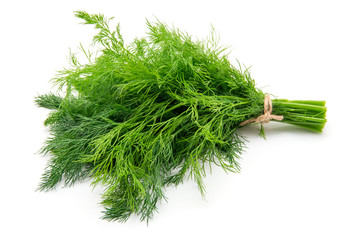 Fresh dill close up on white background