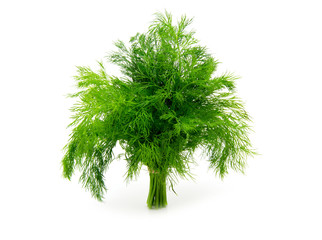 Fresh dill close up on white background
