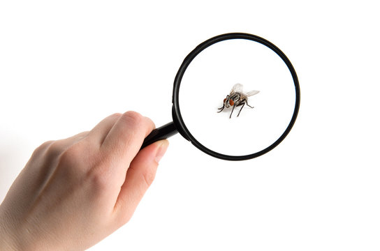 Hand Holding Magnifying Glass Isolated On White Background