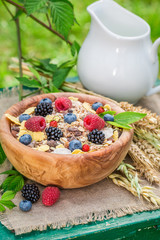 Tasty muesli with berry fruits and milk