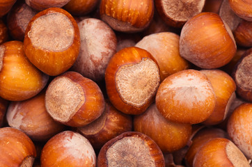 nuts, hazelnuts as background