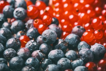 Fresh forest fruits